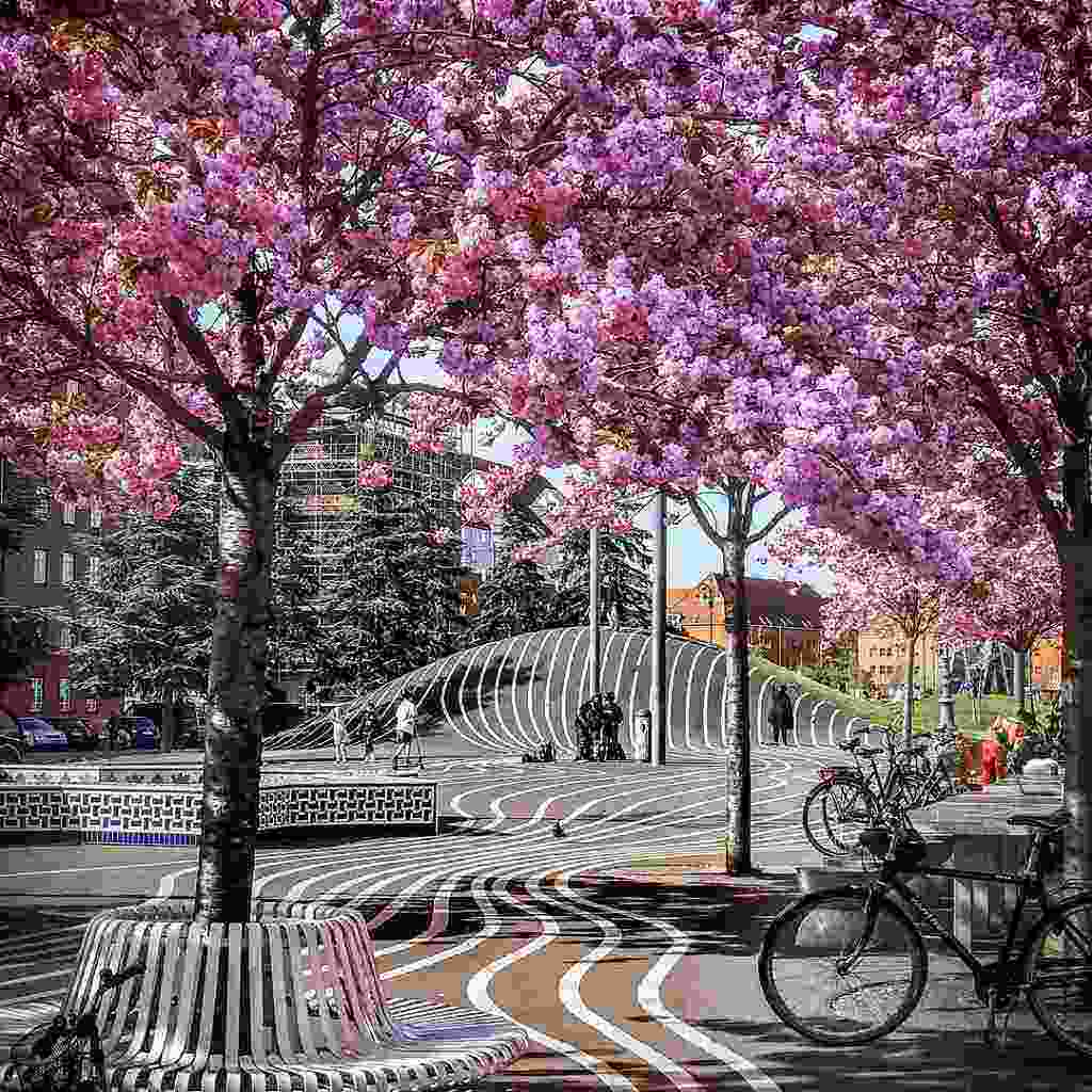 آهنگ جدید سامان اسماعیلی صید کرد یکی ماهی منو